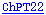 ChPT22
