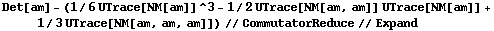 Det[am] - (1/6 UTrace[NM[am]]^3 - 1/2 UTrace[NM[am, am]] UTrace[NM[am]] + 1/3 UTrace[NM[am, am, am]]) // CommutatorReduce // Expand