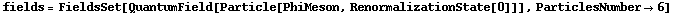fields = FieldsSet[QuantumField[Particle[PhiMeson, RenormalizationState[0]]], ParticlesNumber -> 6]