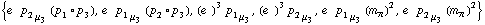 {e^(  ) p _ 2 _ μ _ 3 (p _ 1 &deg; p _ 3), e^(  ) p _ 1 _ μ _ 3 (p _ 2 &deg; p _ 3), (e^(  ))^3 p _ 1 _ μ _ 3, (e^(  ))^3 p _ 2 _ μ _ 3, e^(  ) p _ 1 _ μ _ 3 (m _ π^(�   ))^2, e^(  ) p _ 2 _ μ _ 3 (m _ π^(�   ))^2}