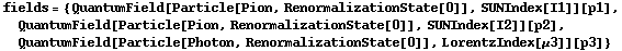 fields = {QuantumField[Particle[Pion, RenormalizationState[0]], SUNIndex[I1]][p1], QuantumField[Particle[Pion, RenormalizationState[0]], SUNIndex[I2]][p2], QuantumField[Particle[Photon, RenormalizationState[0]], LorentzIndex[μ3]][p3]}