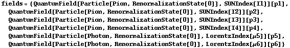 fields = {QuantumField[Particle[Pion, RenormalizationState[0]], SUNIndex[I1]][p1], QuantumField[Particle[Pion, RenormalizationState[0]], SUNIndex[I2]][p2], QuantumField[Particle[Pion, RenormalizationState[0]], SUNIndex[I3]][p3], QuantumField[Particle[Pion, RenormalizationState[0]], SUNIndex[I4]][p4], QuantumField[Particle[Photon, RenormalizationState[0]], LorentzIndex[μ5]][p5], QuantumField[Particle[Photon, RenormalizationState[0]], LorentzIndex[μ6]][p6]}
