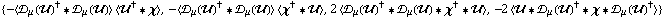 {-< �s _ μ(��)^† '6 �s _ μ(��) > < ��^† '6 χ >, -< �s _ μ(��)^† '6 �s _ μ(��) > < χ^† '6 �� >, 2 < �s _ μ(��)^† '6 �s _ μ(��) '6 χ^† '6 �� >, -2 < �� '6 �s _ μ(��)^† '6 χ '6 �s _ μ(��)^† >}
