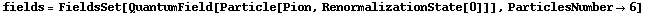 fields = FieldsSet[QuantumField[Particle[Pion, RenormalizationState[0]]], ParticlesNumber -> 6]